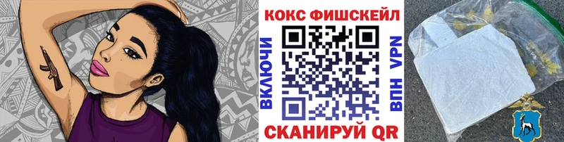 OMG сайт  Нерюнгри  Cocaine Fish Scale 