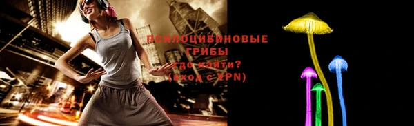 Альфа ПВП Арсеньев