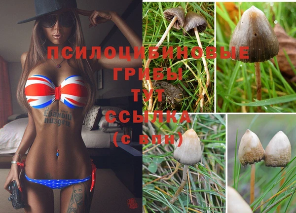 экстази Балахна