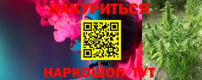 сатива Дубна