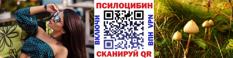 мориарти как зайти  купить   кракен зеркало  Нерюнгри  Галлюциногенные грибы MAGIC MUSHROOMS 