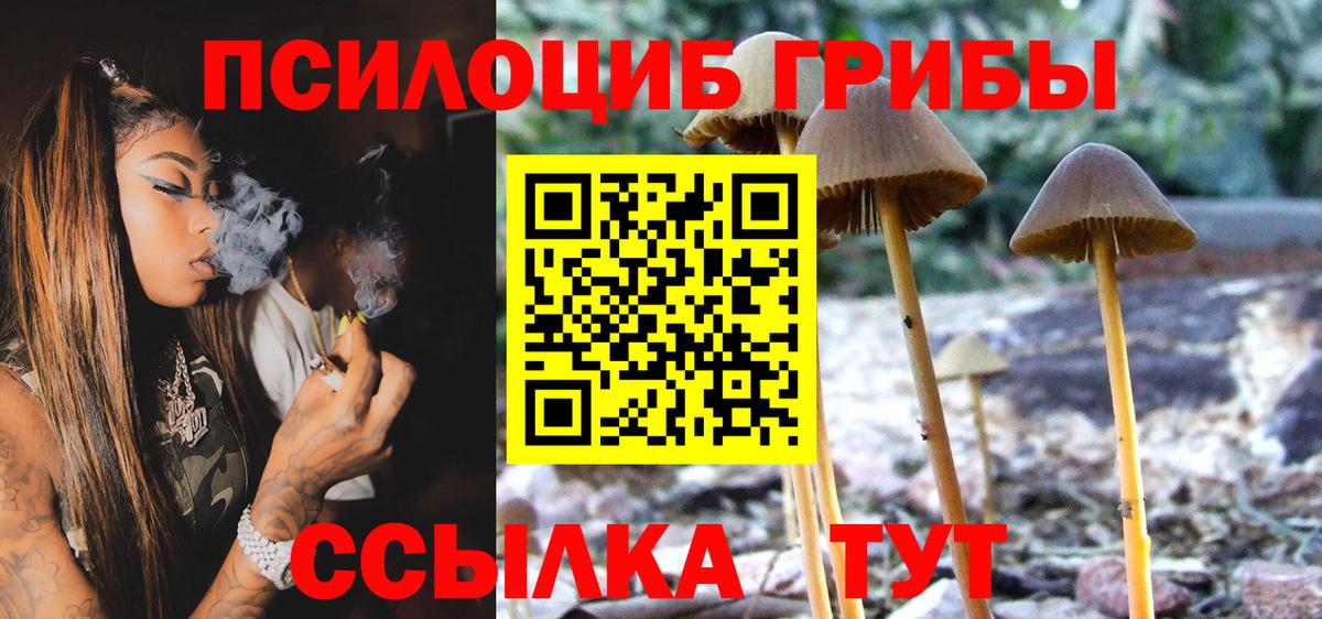Галлюциногенные грибы ЛСД Нерюнгри
