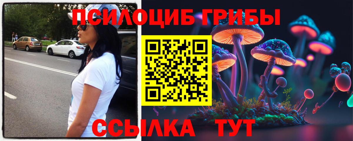 Псилоцибиновые грибы MAGIC MUSHROOMS  Псилоцибиновые грибы MAGIC MUSHROOMS  Нерюнгри  Вход с VPN 